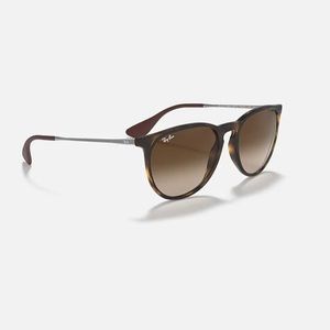 Ray-Ban Erika Sunglasses
